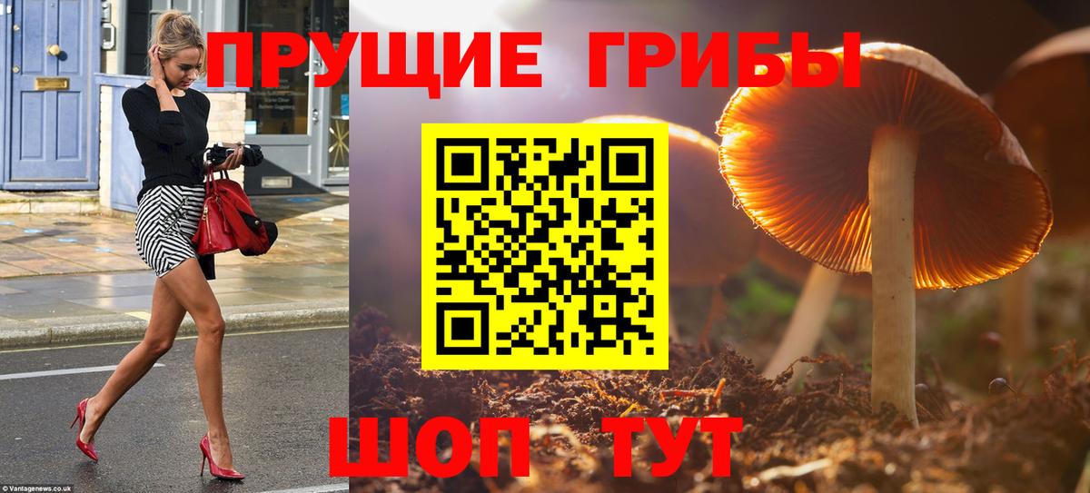 Купить наркотик  Cocaine  ГАШ  Каннабис  Вход с VPN  Астрахань  Codein  МАРИХУАНА  Мефедрон  