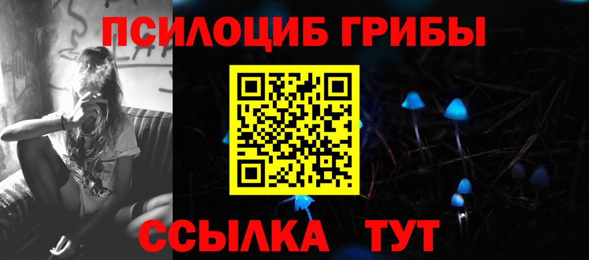 Астрахань  магазин продажи   Вход с VPN  Псилоцибиновые грибы MAGIC MUSHROOMS 